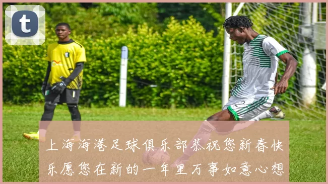 上海海港足球俱乐部恭祝您新春快乐愿您在新的一年里万事如意心想事成